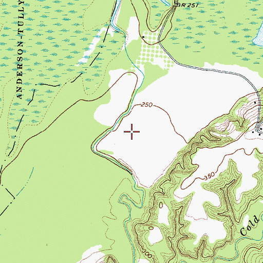 Topographic Map of Separate Pond (historical), TN