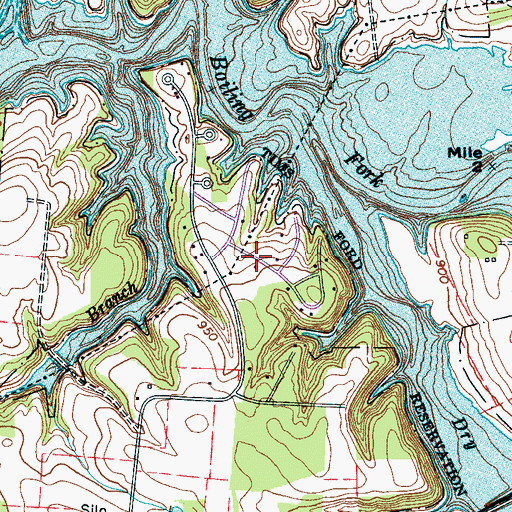 Topographic Map of Dripping Springs Subdivision, TN
