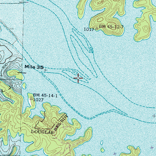 Topographic Map of Bird Island (historical), TN