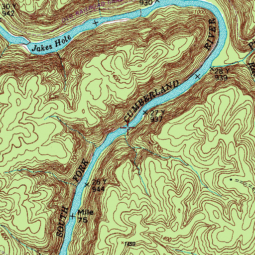 Topographic Map of Rions Eddy, TN