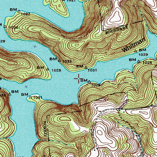 Topographic Map of Whitman (historical), TN