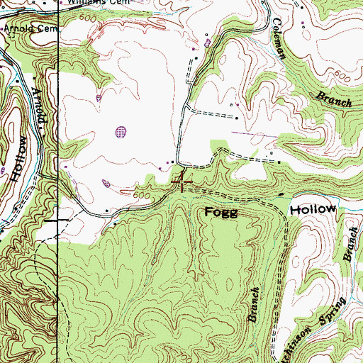 Topographic Map of Fogg (historical), TN