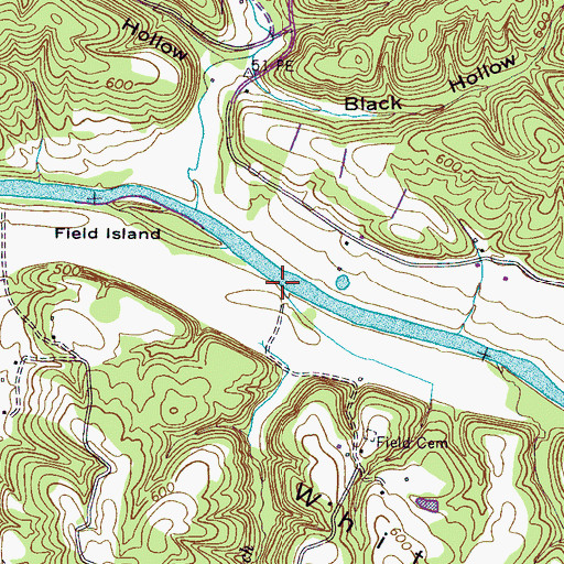 Topographic Map of Hicks Ford, TN