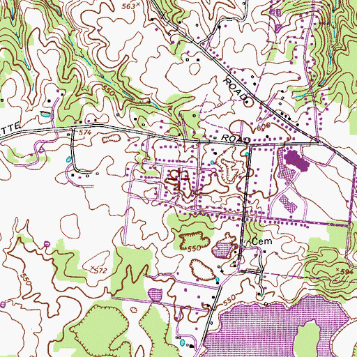 Topographic Map of Belle Forest, TN