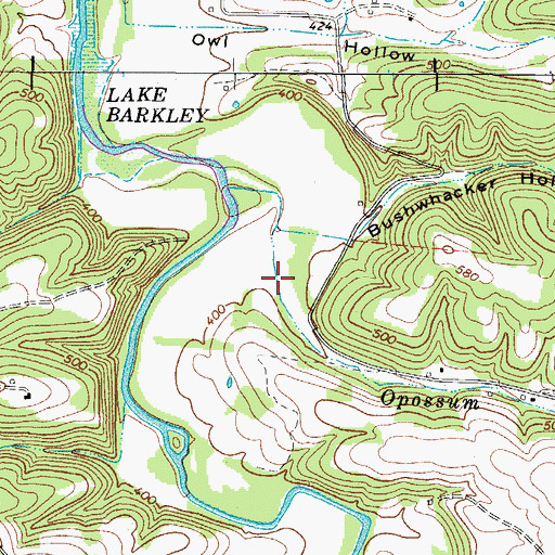 Topographic Map of Oppossum Hollow, TN