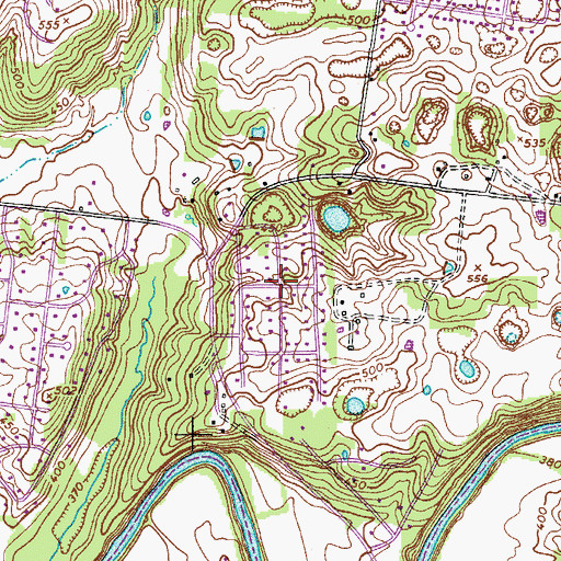 Topographic Map of Swan Lake Village, TN