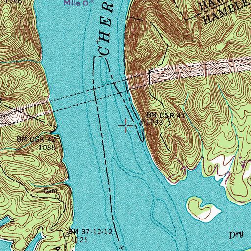 Topographic Map of Bingham Island (historical), TN