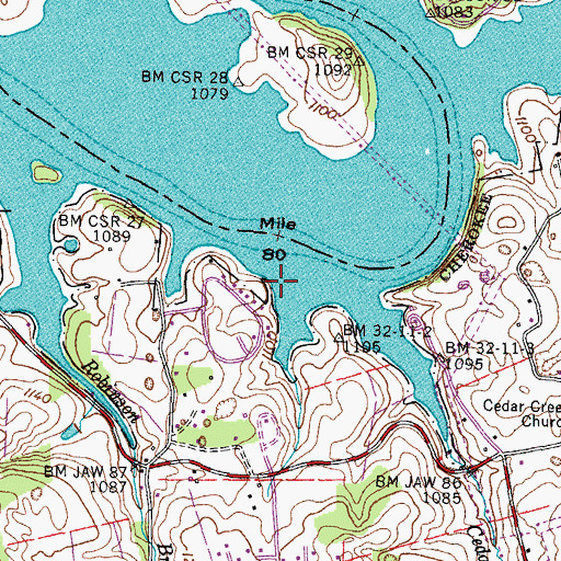 Topographic Map of Bright (historical), TN