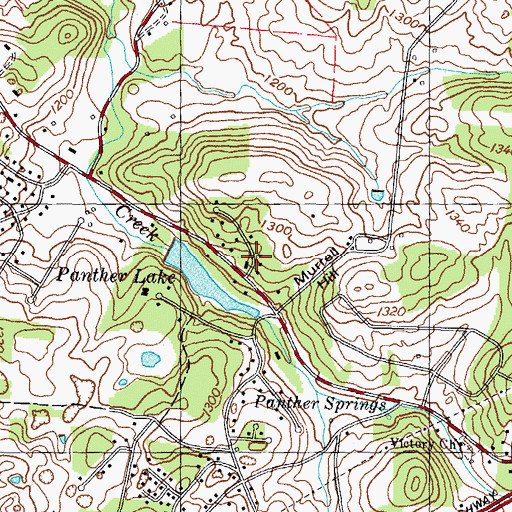 Topographic Map of Panther Lake, TN