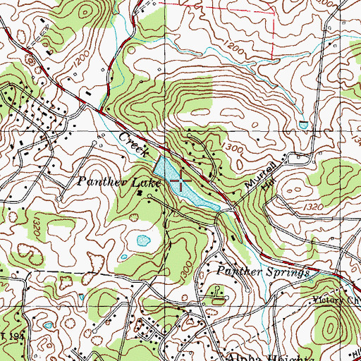 Topographic Map of Panther Lake, TN