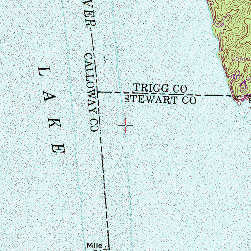 Topographic Map of Rushing Creek (historical), TN