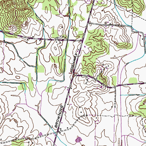 Topographic Map of Carnsville (historical), TN