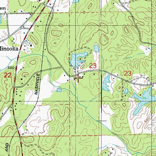 Topographic Map of Moores Lake, AL