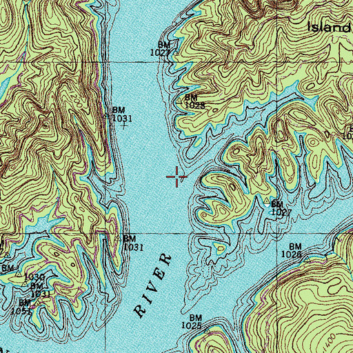 Topographic Map of Hamilton Ford (historical), TN