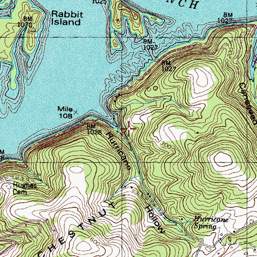 Topographic Map of Hurricane Branch (historical), TN