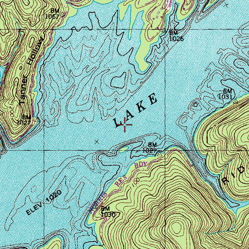 Topographic Map of Ousley Ford (historical), TN