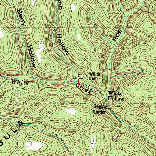 Topographic Map of Rhodelia (historical), TN