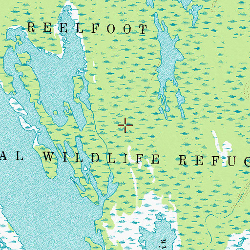 Topographic Map of Rice Field, TN