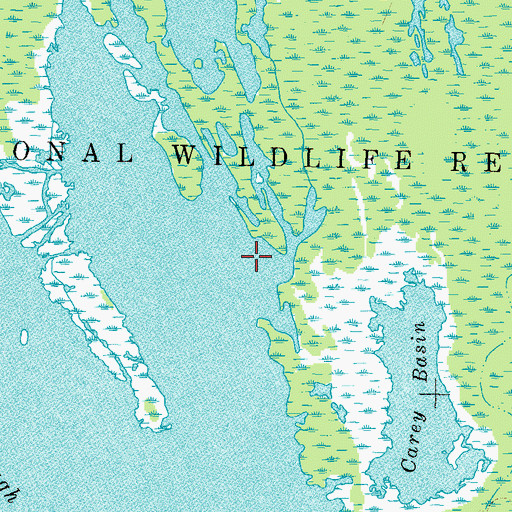 Topographic Map of Snaggy Basin, TN