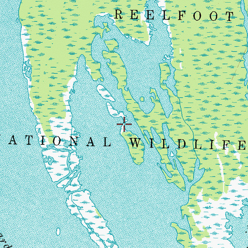 Topographic Map of Snaggy Towhead, TN