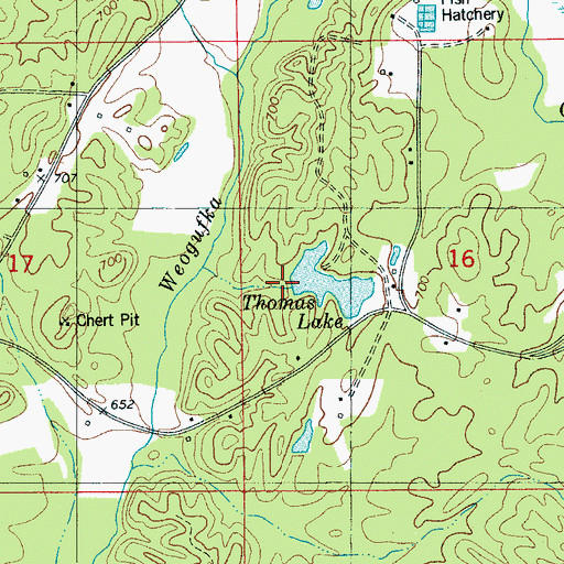 Topographic Map of Cullen Thomas Dam, AL