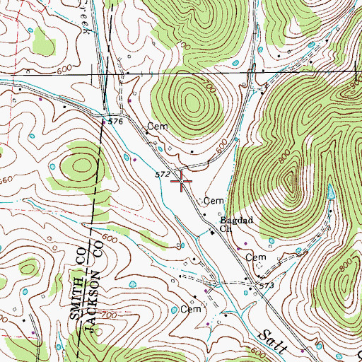 Topographic Map of Bagdad (historical), TN