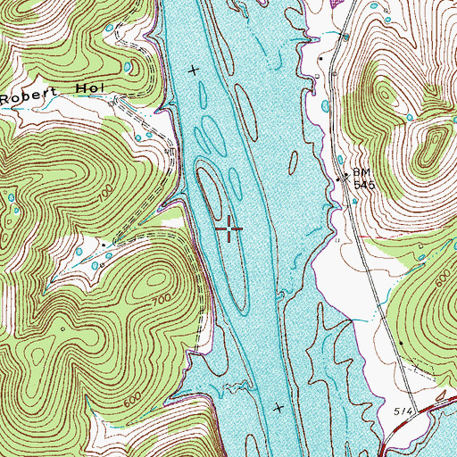Topographic Map of Lower Holleman Island (historical), TN