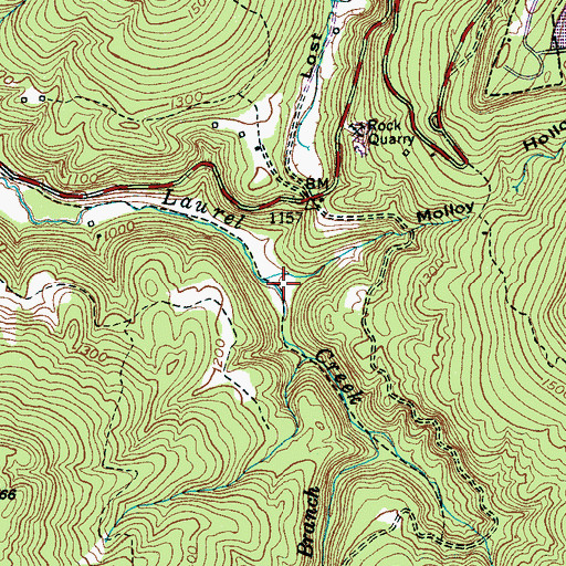 Topographic Map of Lick Cove, TN