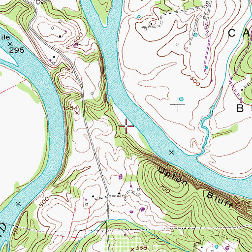 Topographic Map of Blind Island, TN