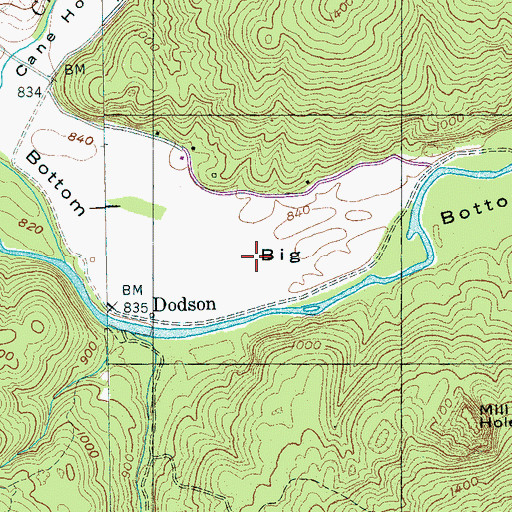 Topographic Map of Caney Creek Gulch, TN