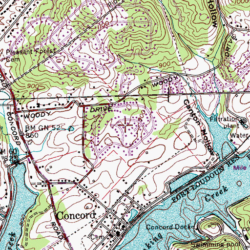 Topographic Map of Concords Woods, TN