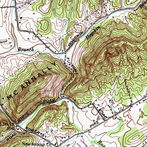 Topographic Map of Fulton Gap, TN