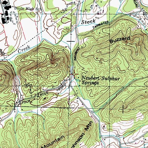 Topographic Map of Neubert Springs, TN