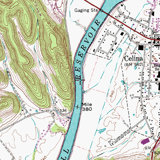 Topographic Map of Celina Bar, TN