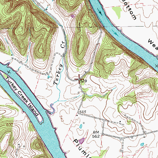 Topographic Map of Turkey Creek (historical), TN