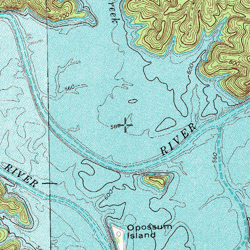 Topographic Map of Willis Bottom (historical), TN