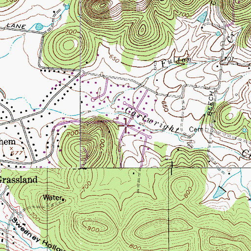 Topographic Map of Battlewood Forest, TN