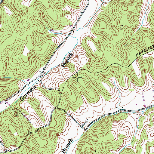 Topographic Map of Cunningham Ridge, TN