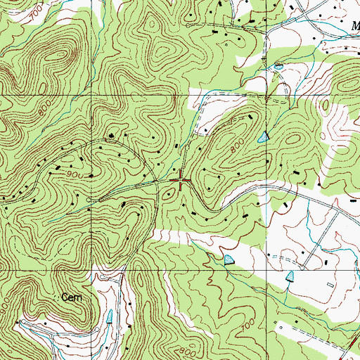 Topographic Map of Forest Home Farms, TN