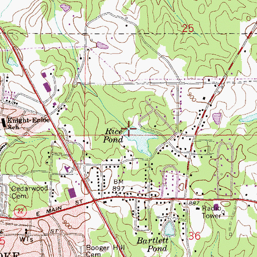 Topographic Map of Rice Dam, AL