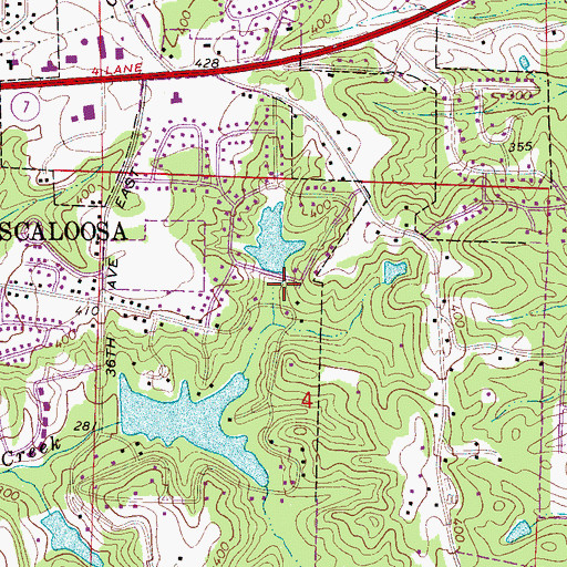 Topographic Map of East Lake Dam, AL