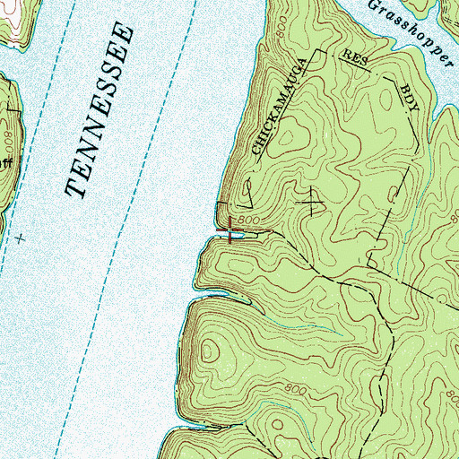 Topographic Map of Johnson Slough, TN