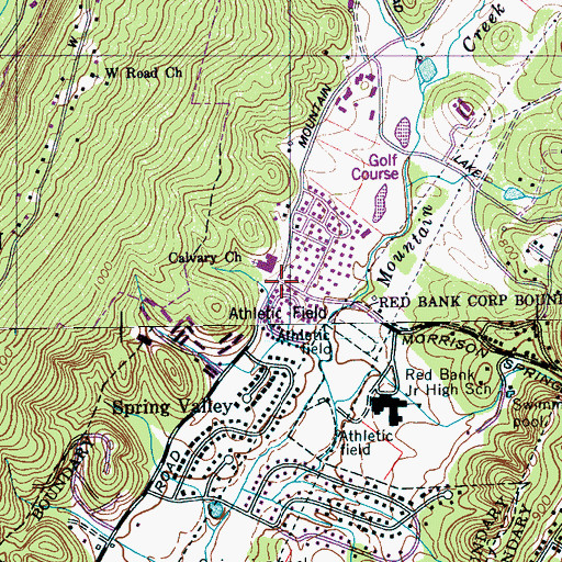Topographic Map of Morrison Springs, TN
