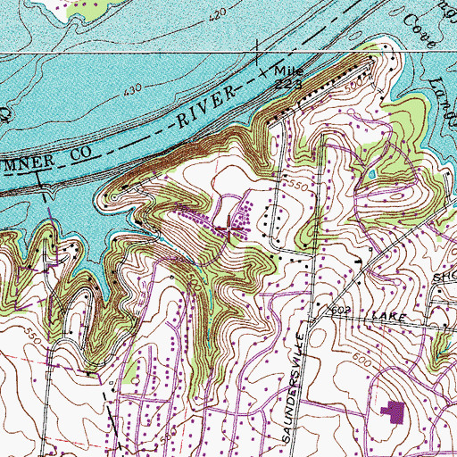 Topographic Map of Woodlake, TN