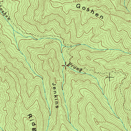 Topographic Map of Spy Branch, TN