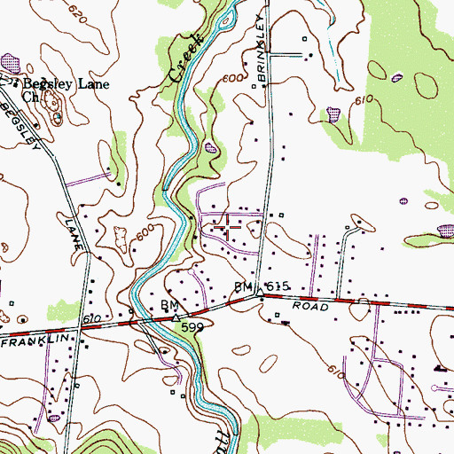 Topographic Map of Meadow Lane, TN