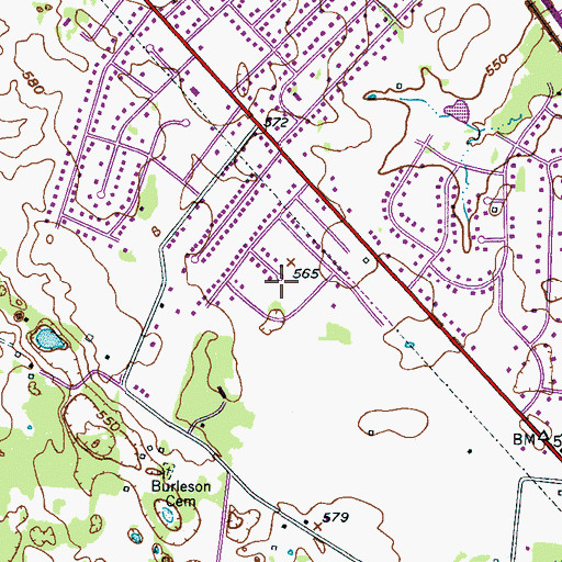 Topographic Map of Sunnyside, TN