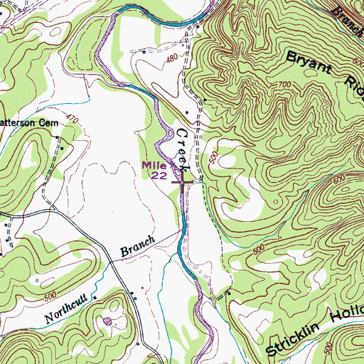 Topographic Map of Bryant Ford, TN