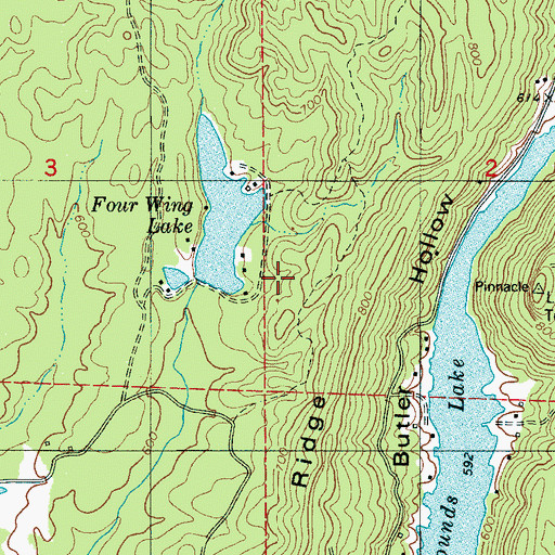 Topographic Map of Four Wing Lake Dam, AL