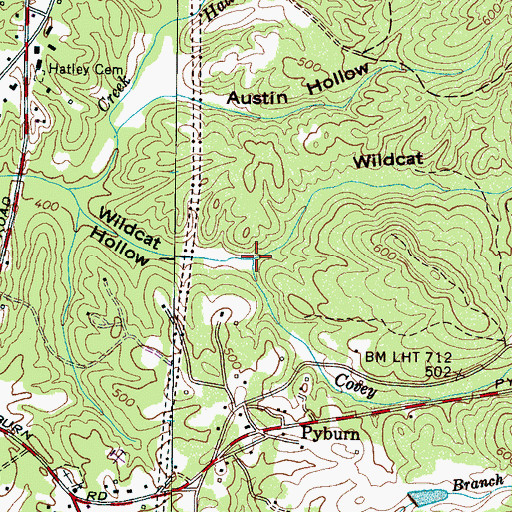 Topographic Map of Wildcat Hollow, TN